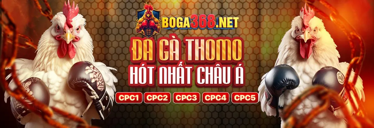 Hình ảnh chính gd365 chính thức blog